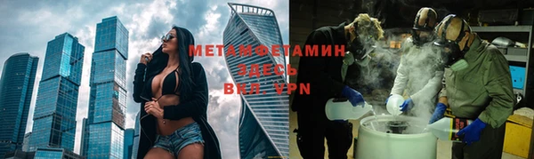 ПСИЛОЦИБИНОВЫЕ ГРИБЫ Вязники