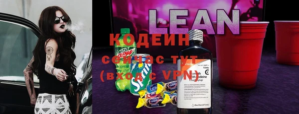 ПСИЛОЦИБИНОВЫЕ ГРИБЫ Вязники