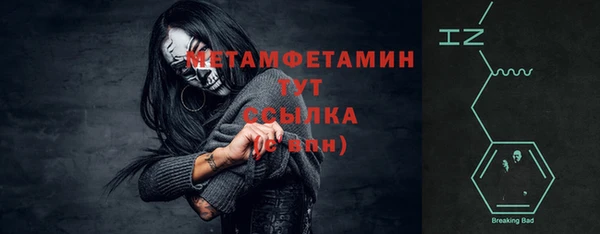 ПСИЛОЦИБИНОВЫЕ ГРИБЫ Вязники