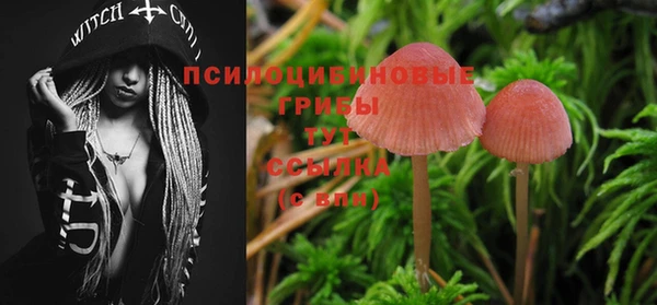 гашик Горнозаводск